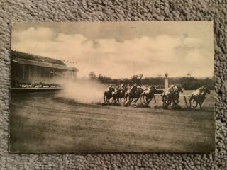 Vintage Postcard Of Belmont Park,  Long Island,  Ny