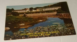 Vintage California Postcard Academy Of Sciences Golden Gate Park San Francisco