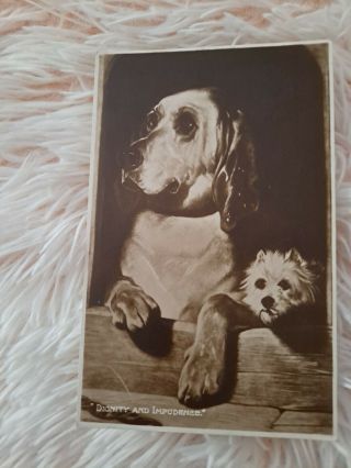 Vintage Dog Postcard.  Two Dogs.  Great Dane And Terrier.  Rppc.  British.  Pm 1926.