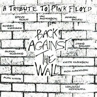 A Tribute To Punk Floyd - Back Against The Wall (2lp) - Various Artists -