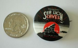 Sea Lion Caves Oregon Coast Highway Vintage Pin Pinback Button 29721