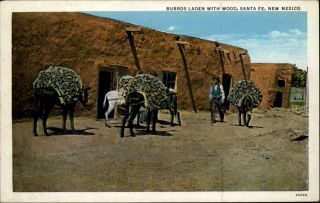 Burros Laden With Wood Santa Fe Mexico Pueblo Bldg 1920s Vintage Postcard