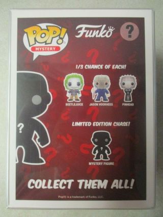 FUNKO POP MYSTERY FUNKO ? HOT TOPIC LIMITED EDITION EXCLUSIVE BOX ONLY W/ CASE 2