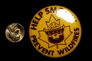 Help Smokey Prevent Wildfires The Bear Pinback Button Timeless012