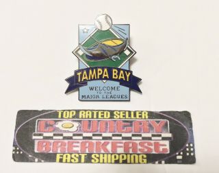 Vintage Tampa Bay Devil Rays Mlb Baseball Logo 1995 Hat Lapel Pin -