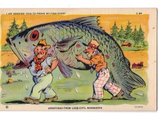 Vintage Post Card Greetings From Lake City,  Minnesota C.  T.  Fish Comics