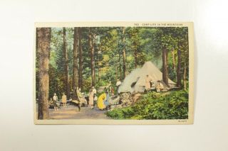Camp Life In The Mountains - 1930s People - Big Trees - Nc - Vintage Postcard