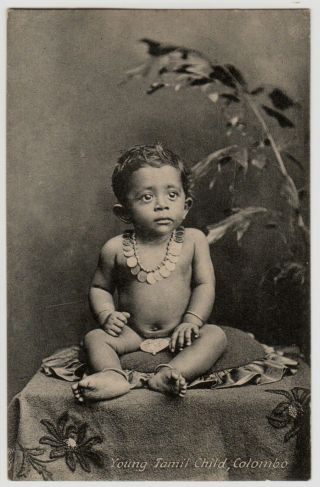 Ceylon Sri Lanka Vintage Postcard - Young Tamil Child,  Colombo - Plâté & Co