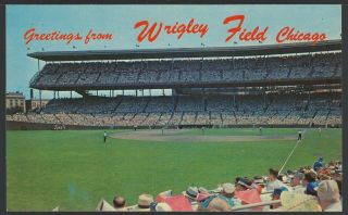 Vintage Chicago Post Card - Greetings From Wrigley Field - Blank & Unposted