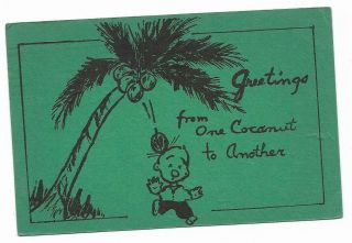 Vintage Florida Linen Postcard Greetings From One Coconut To Another Tree Comic