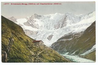 Switzerland - Grindelwald - Baregg Mit Viescherhörner Vintage Postcard 604v