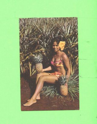 Zz Postcard Sexy Woman Beauty Wit A Golden Hawaiian Pineaple