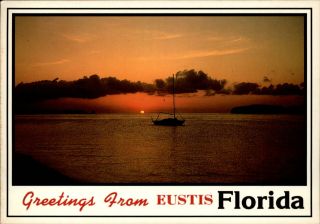 Greetings From Eustis Florida Fl Sunset Sailboat Vintage Postcard
