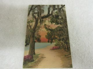 Vintage St.  Petersburg Florida Hand Colored Postcard A/s Barnhill