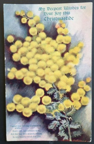 Vintage Postcard 1918 Australian Floral Series Christmastide