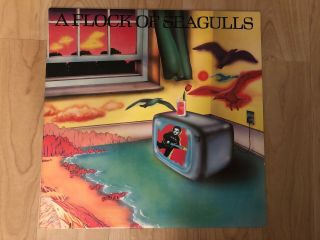 A Flock Of Seagulls - S/t 1982 Jive ‎va 33003 Jacket Vg,  Vinyl Nm - I Ran