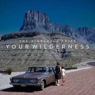 Pineapple Thief The - Your Wilderness Vinyl Record
