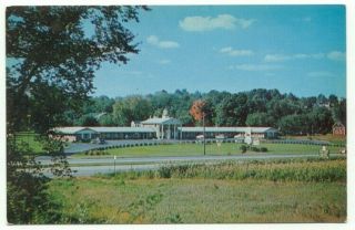 West Springfield Ma Black Horse Motel Rt.  5 Vintage Postcard - Massachusetts