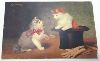 Vintage Greeting Postcard Cats In Top Hat With Gloves " Greetings " Posted 1910