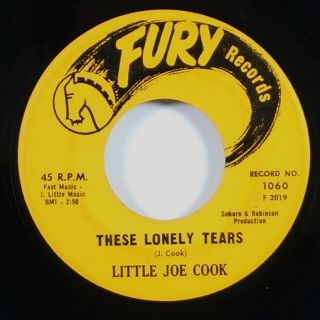 Little Joe Cook " These Lonely Tears " Northern Soul Popcorn 45 Fury Mp3