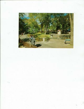 Lafontaine Park Zoo,  Montréal,  Québec Vintage Postcard,  Jardin Des Merveilles