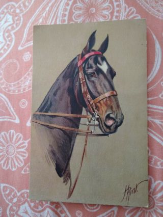 Vintage Horse Postcard.  Art.  Head Painting Of Dark Brown Horse.  Swiss.