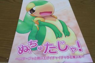 Doujinshi Pokemon Snivy Main (b5 20pages) Cidea Nutyutaja Furry Kemono Cideart