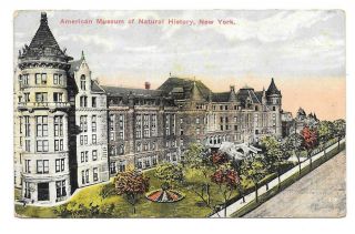 Vintage Postcard.  American Museum Of Natural History.  York City.  Posted 1920