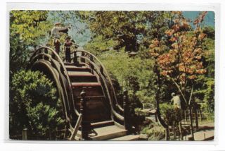 Vtg Post Card Oriental Tea Garden In Golden Gate Park,  Ca