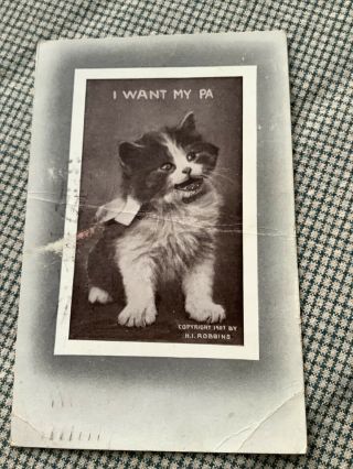 Vintage Cat Kitten Postcard I Want My Papa Robbins Flaws Crease In Middle