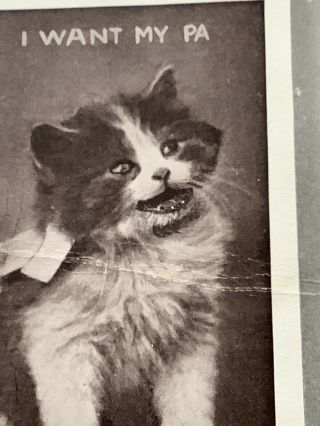Vintage Cat Kitten Postcard I Want My Papa Robbins Flaws Crease In Middle 2