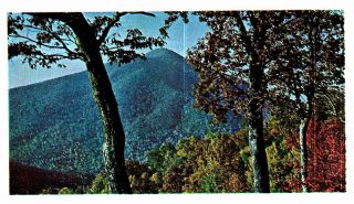 Vintage Postcard Blue Ridge Parkway Virginia And North Carolina