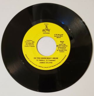 Jimmy Delphs - Do You Know What I Mean - Rare Detroit Soul 45 - D.  S.  S.  I.  Mano Records