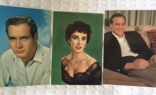 Vtg 80s? Elizabeth Liz Taylor,  Marlon Brando,  Paul Newman Quantity Postcards Actor