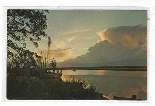 Vtg Post Card The Outer Banks Of North Carolina