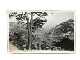 Looking Down Platte Cañon At Pine Colorado Vintage B&w Postcard