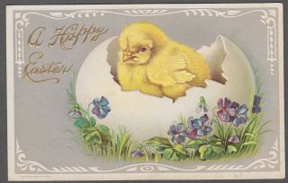 A Happy Easter Chick Hatched From Egg 1910s Vintage Postcard - C653