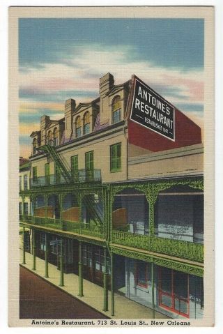 Orleans,  Louisiana,  Vintage Postcard View Of Antoine 