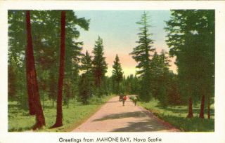 Vtg Greetings From Mahone Bay Nova Scotia Canada Postcard Gs14 White Border