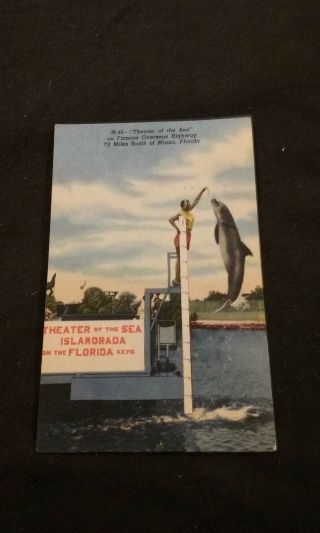 Theater Of The Sea On Famous Overseas Highway Miami Florida - Vintage Postcard