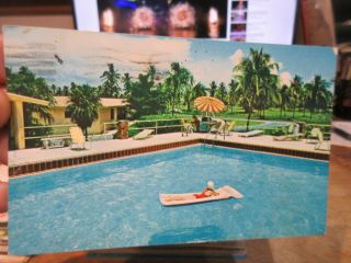 Vintage Old Postcard Florida Miami Beach Key Colony Motel Swimming Pool Patio