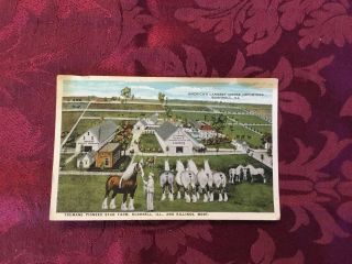 Vintage Post Card Truman’s Pioneer Stud Farm Bushnell Ill And Billings Montana