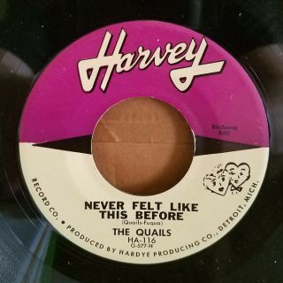 Quails | Northern Soul 45 | My Love / Never Felt Like This Before | Harve