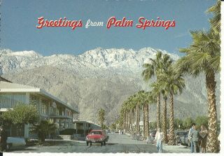 Vintage Postcard - Greetings From Palm Springs - Posted In 1985