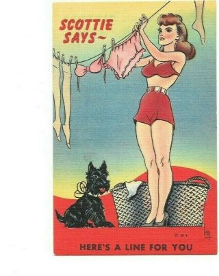Vintage Linen Postcard Comic Woman Hanging Clothes Dog Here 
