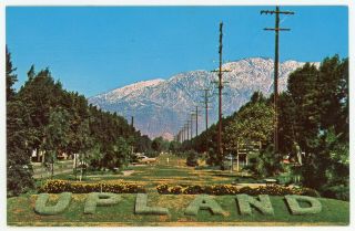 Vintage 1964 Roadside Postcard Euclid Ave Ontario Upland Ca San Bernardino Cty