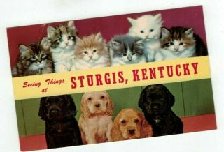 Ky Sturgis Kentucky Vintage Post Card Big Letters " Seeing Things At.  "