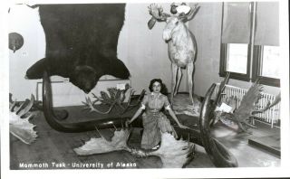 Vintage Rppc Postcard Anchorage Ak University Of Alaska " Mammoth Tusk "