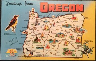 Vintage Postcard Greetings From Oregon,  State Map,  Bird,  Flower,  Unposted
