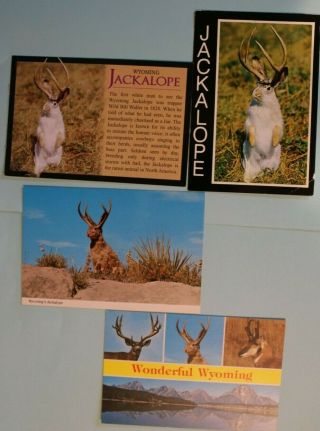 4 = Wyoming Jackalope Vintage Postcard Just Under 6 " X4 " Wonderful Wy Jackalope